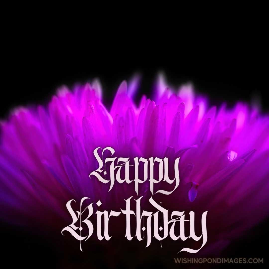 A closeup of a purple flower on black background. Happy Birthday Purple Flower Images